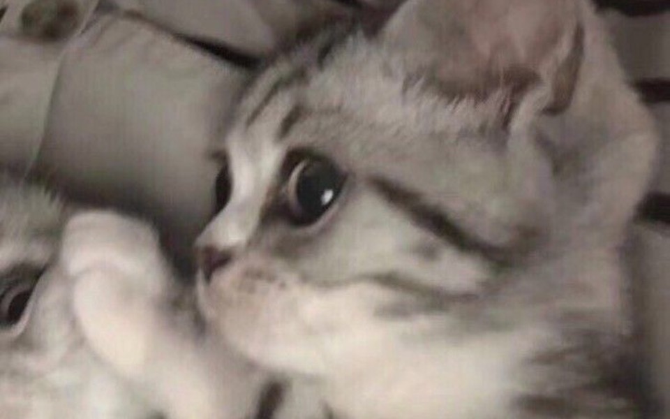 
        Zbiórka Na wakacje dla mojej rodziny - zdjęcie główne
    