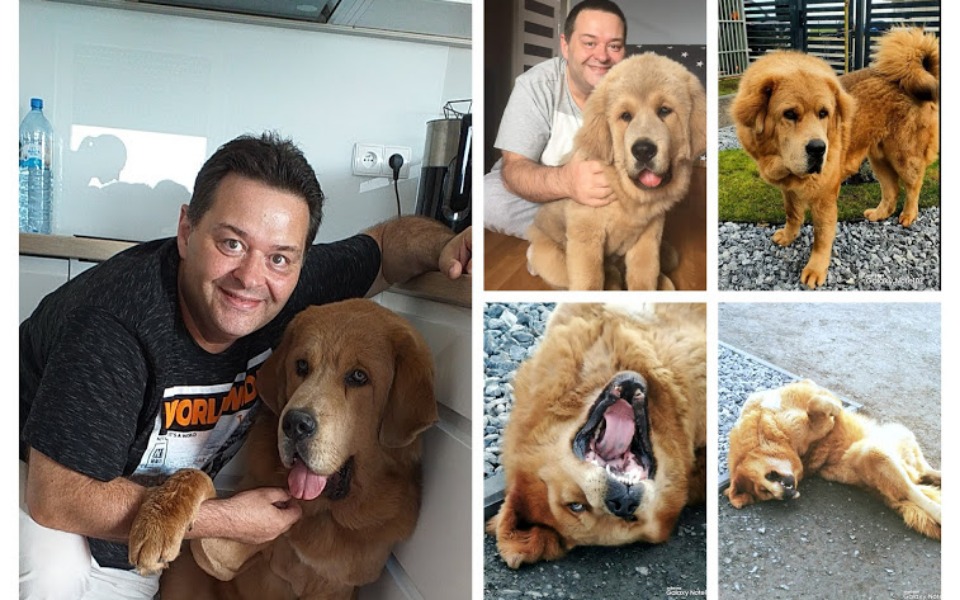 
        Zbiórka helllo - zdjęcie główne
    