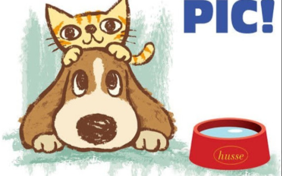 
        Zbiórka Na pomoc dla zwierząt w upalne d - zdjęcie główne
    