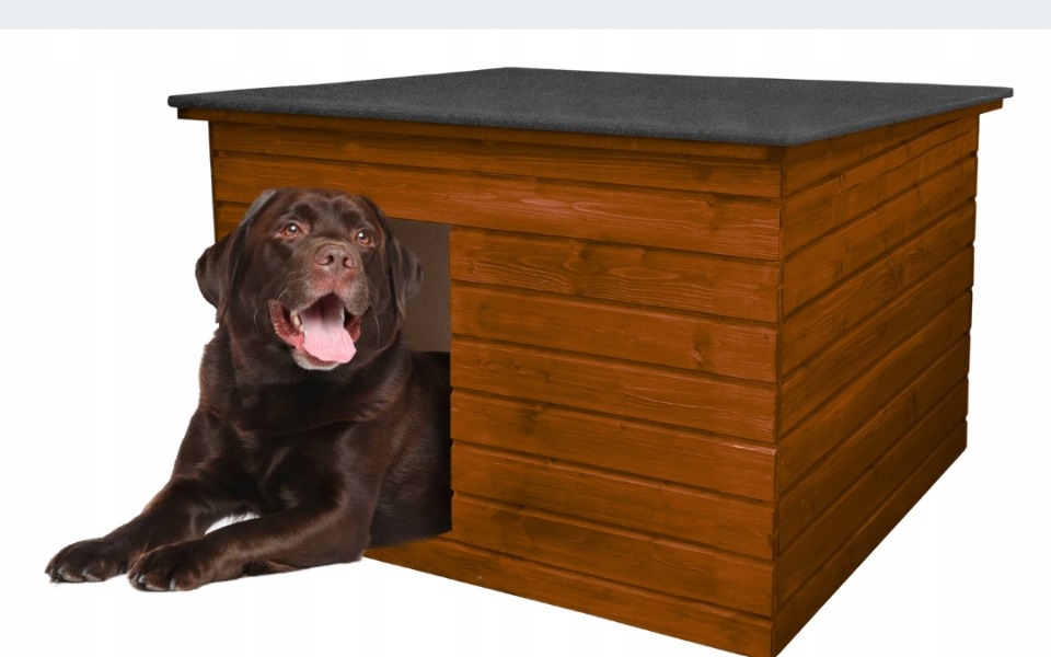 
        Zbiórka Zbieramy na ocieplane budy - zdjęcie główne
    