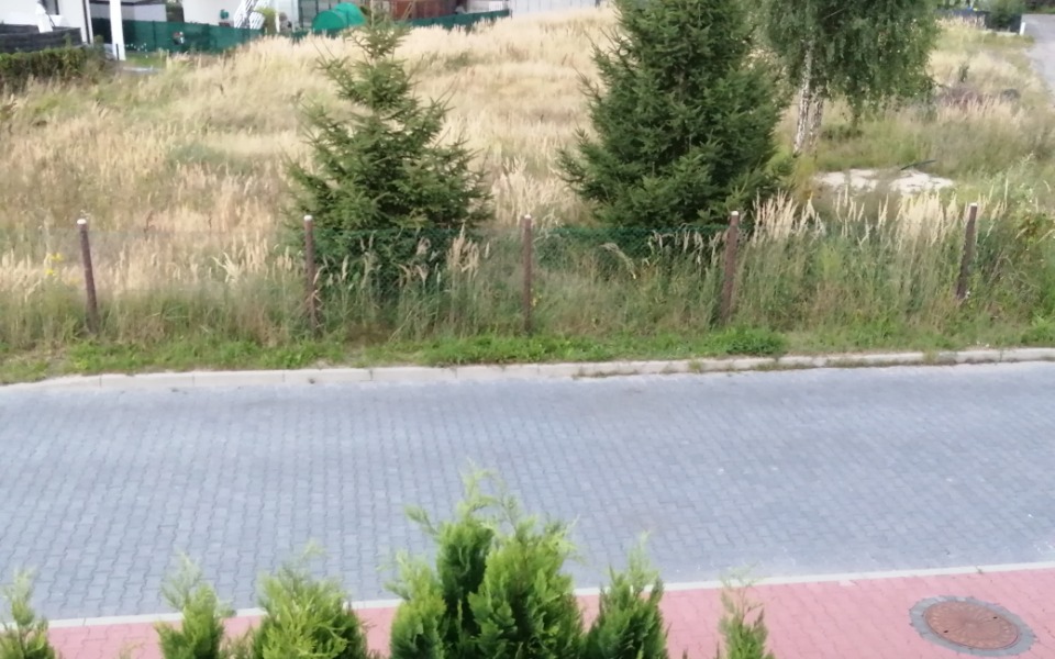 
        Zbiórka Zbiórka na boisko dla każdego - zdjęcie główne
    