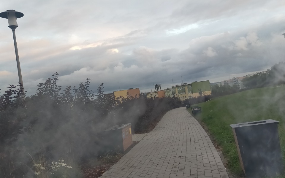 
        Zbiórka Popiół z Marysi - zdjęcie główne
    