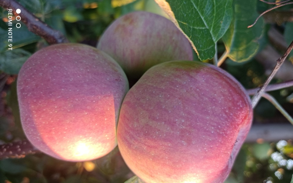 
        Zbiórka Zbiórka na zagraniczne jedzonko - zdjęcie główne
    