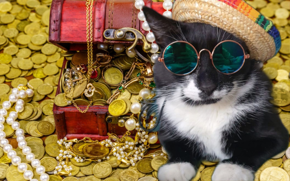 
        Zbiórka Skarby Arki Edycja 2 - zdjęcie główne
    