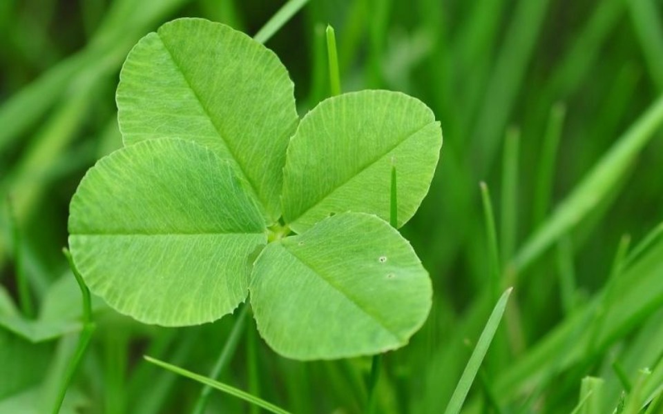 
        Zbiórka Uratować uśmiech - zdjęcie główne
    