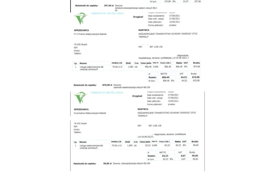 
        Zbiórka Ratujemy bezdomne zwierzęta - zdjęcie główne
    
