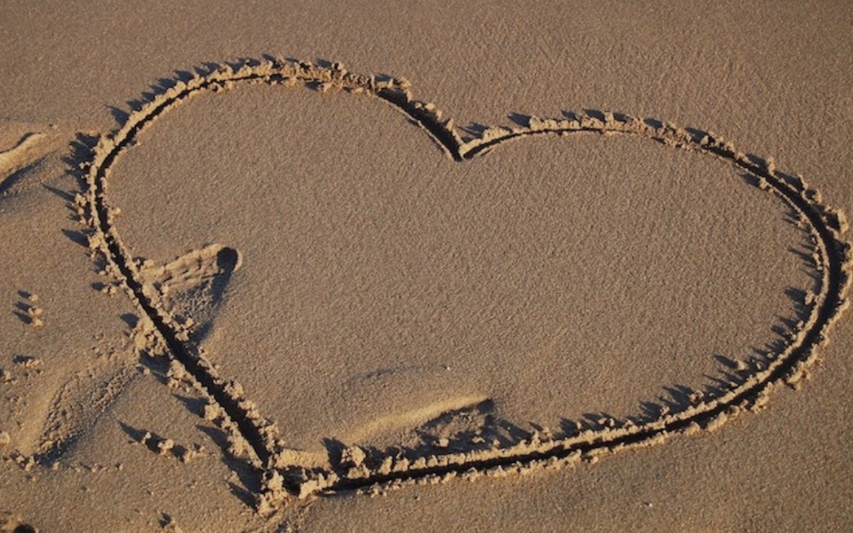 
        Zbiórka Wspieramy Elę / Supporting Ela - zdjęcie główne
    