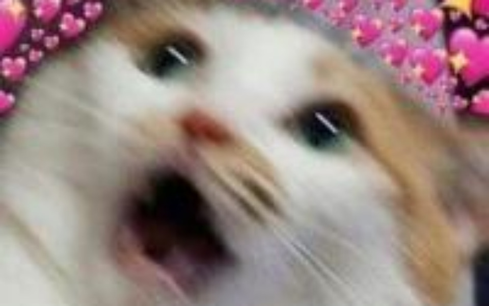 
        Zbiórka Na drobne marzenia. - zdjęcie główne
    