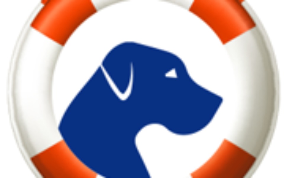 
        Zbiórka Ostatnia Przystań / Wojownicy - zdjęcie główne
    