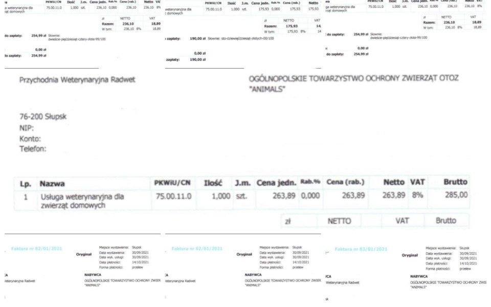 
        Zbiórka Prosimy o pomoc w spłacie fv wet - zdjęcie główne
    