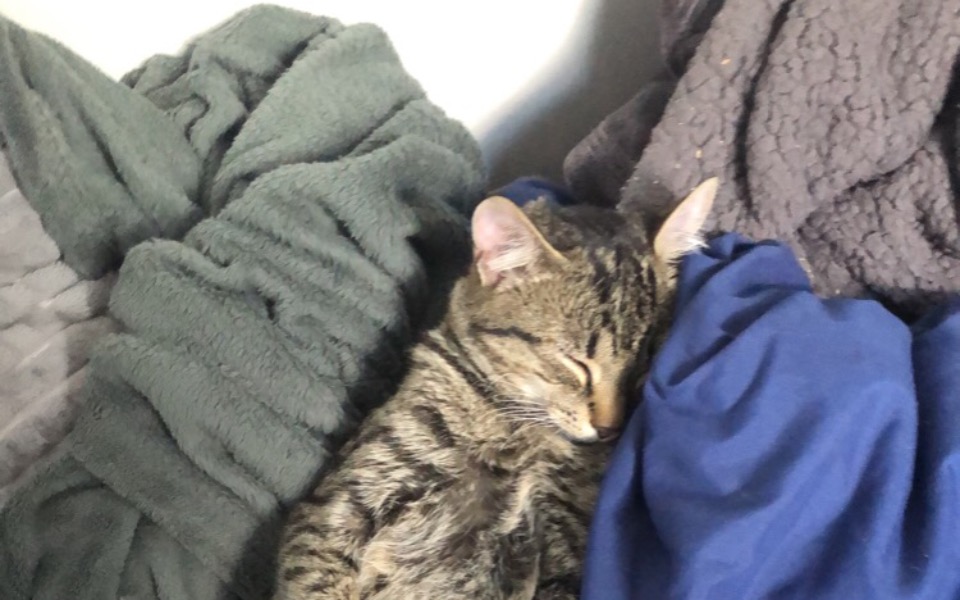 
        Zbiórka Pomóż mi finansowo - zdjęcie główne
    