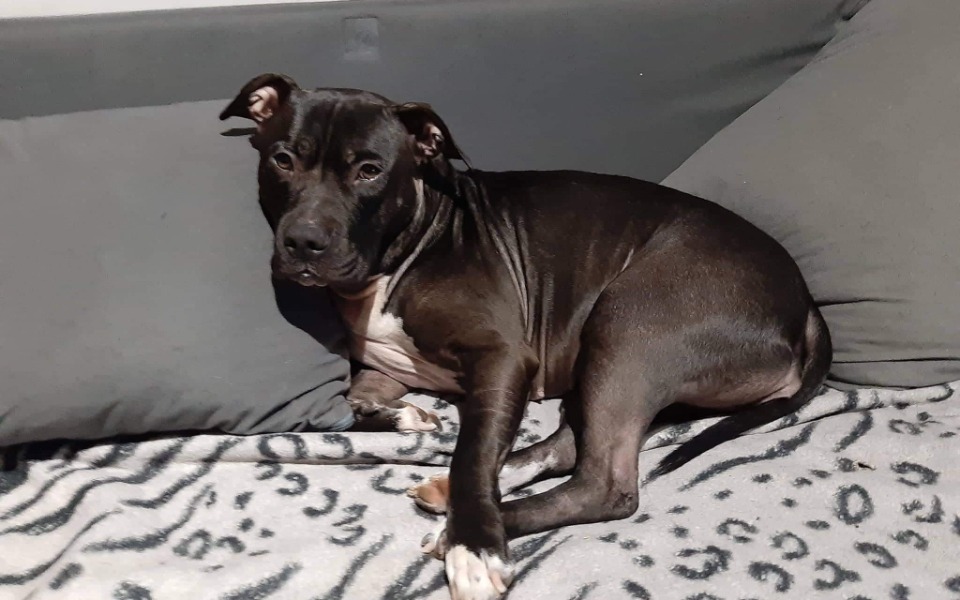 
        Mężczyzna z uśmiechem, w domowym otoczeniu.
    