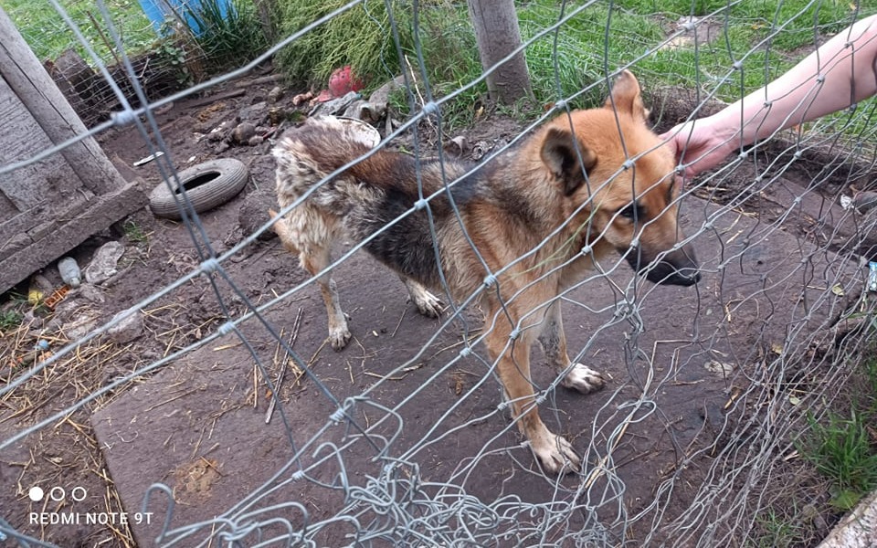 
        Zbiórka Dla Chudego - zdjęcie główne
    