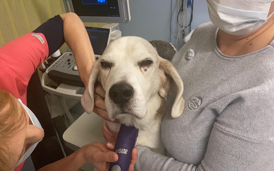 Zbiórka Senior Aron prosi o pomoc - zdjęcie główne