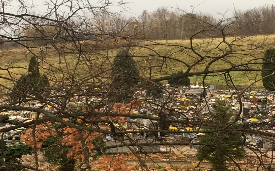 
        Zbiórka Na jedzenie dla biednych - zdjęcie główne
    