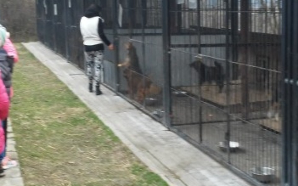 
        Zbiórka Schronisko ul włodawska - zdjęcie główne
    