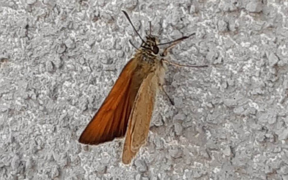 
        Zbiórka Na głupoty i różne rzeczy - zdjęcie główne
    