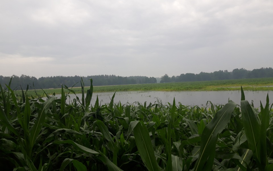 
        Zbiórka Zbiórka dla osoby starszej - zdjęcie główne
    