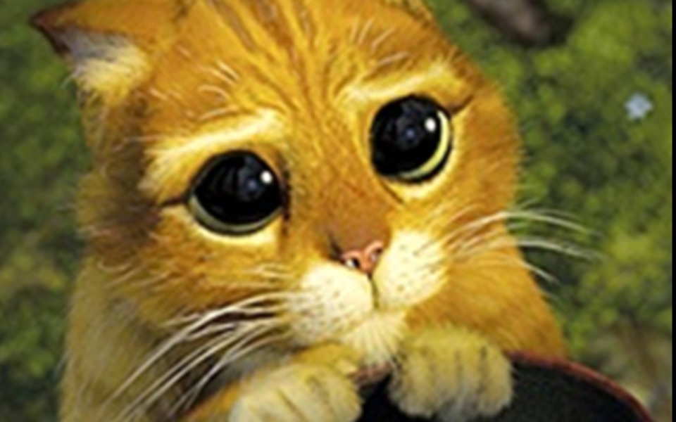 
        Zbiórka Na Tel. bo stary sie zepsuł - zdjęcie główne
    