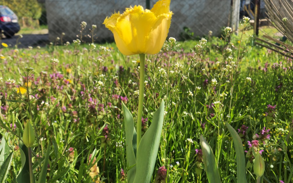 
        Zbiórka Na kwity - zdjęcie główne
    