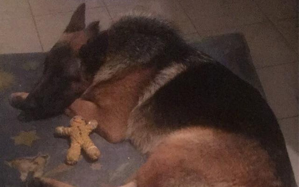 
        Zbiórka Operacja i leczenie Cywila - zdjęcie główne
    