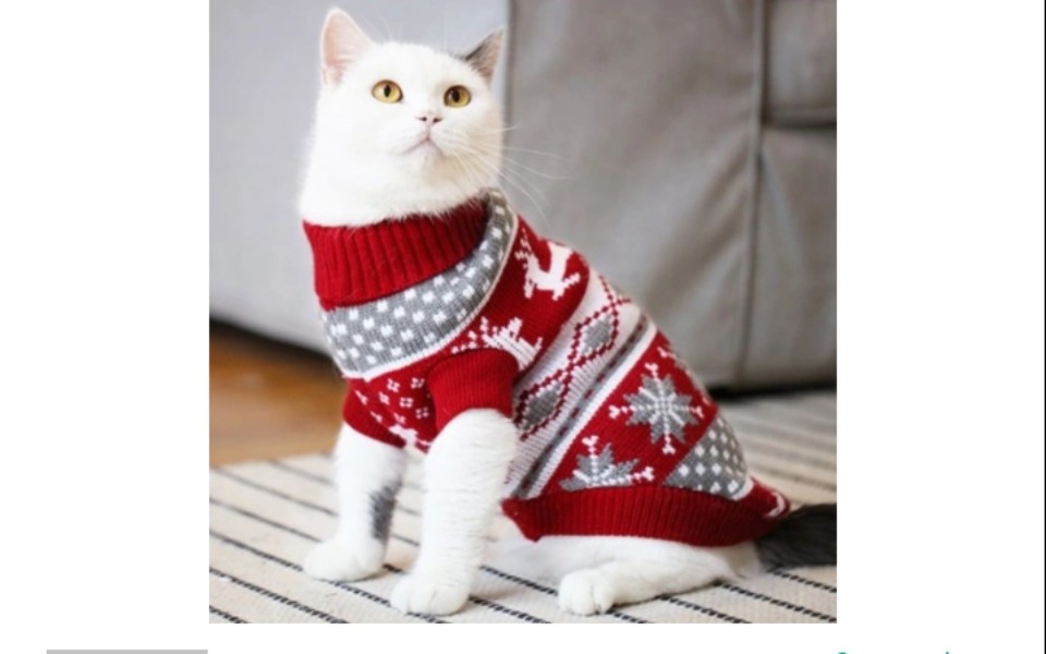 
        Zbiórka Zbiórka na ubranko dla kotka - zdjęcie główne
    