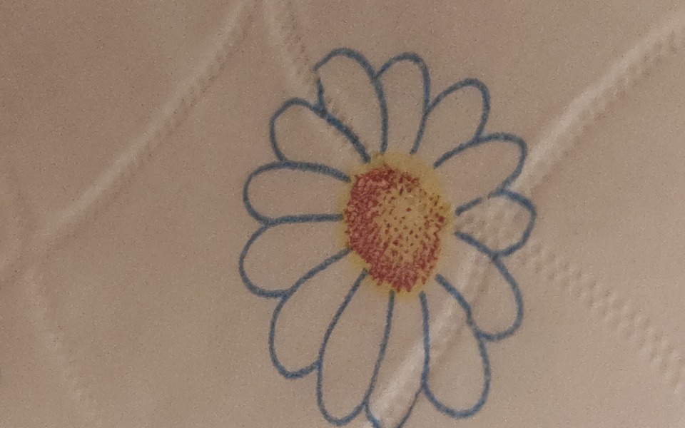 
        Zbiórka Na papier toaletowy 6 warstwowy - zdjęcie główne
    