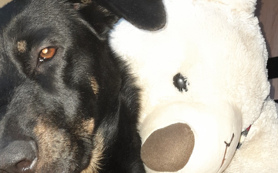 
        Zbiórka Bez zbiórki - zdjęcie główne
    