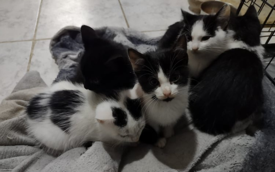 Zbiórka Długi po leczeniu - zdjęcie główne