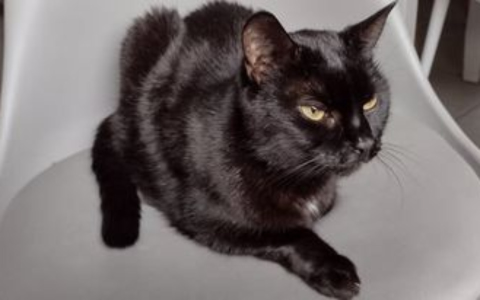 
        Zbiórka Petra prosi o pomoc w leczeniu - zdjęcie główne
    