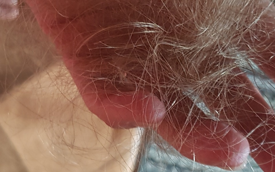 
        Zbiórka Ratuj moje włosy - zdjęcie główne
    