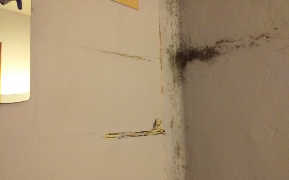 
        Zbiórka Ocieplenie domu dla mamy i babci - zdjęcie główne
    