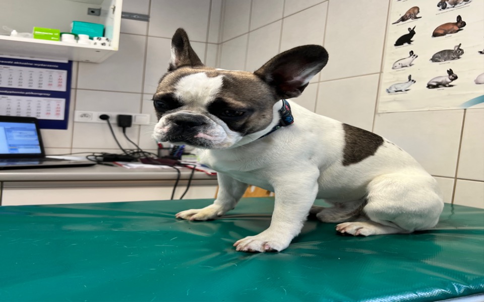 
        Zbiórka Operacja dla Mundka - zdjęcie główne
    