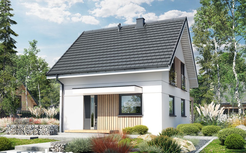 
        Zbiórka Domuś - zdjęcie główne
    