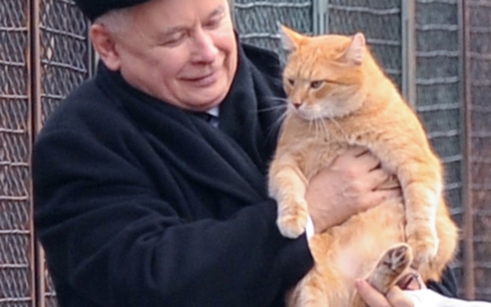 
        Zbiórka Na karmę dla kota prezesa Jarka - zdjęcie główne
    