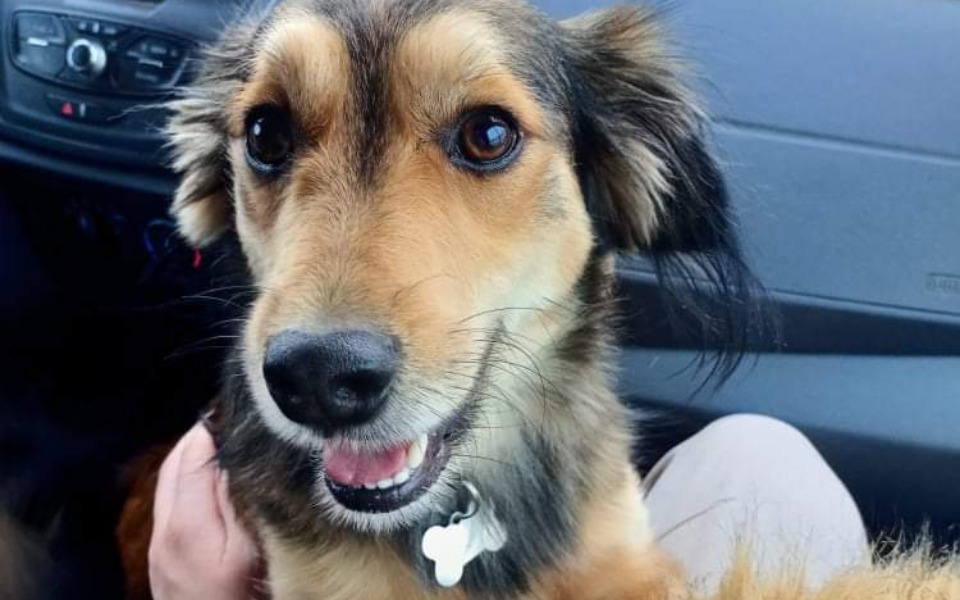 Zbiórka Chrupka nierówna walka z rakiem - zdjęcie główne