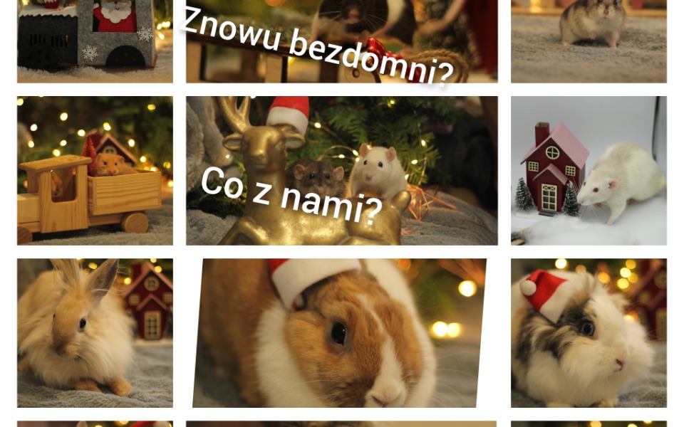 
        Zbiórka O krok od tragedii... - zdjęcie główne
    