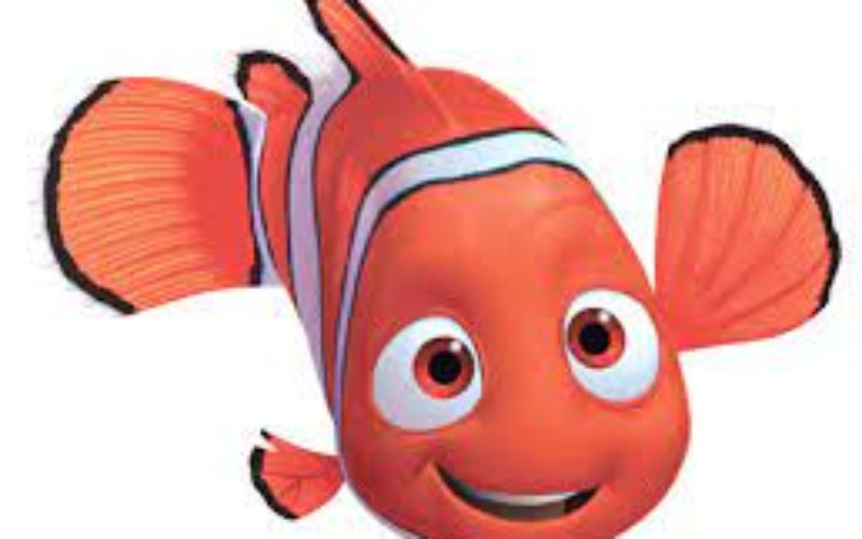 
        Zbiórka Nagroda dla NEMO za km HC - zdjęcie główne
    