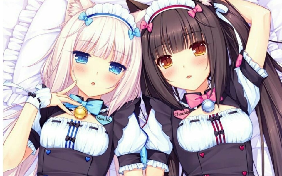 
        Zbiórka na waciki wariaty - zdjęcie główne
    