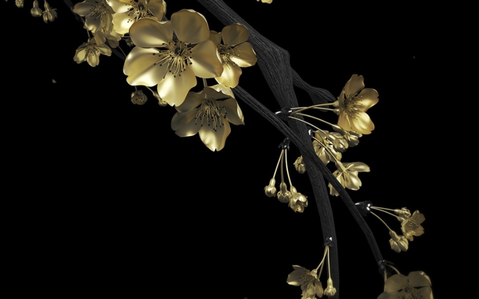 
        Zbiórka Pomóżmy Naszej Karoli - zdjęcie główne
    