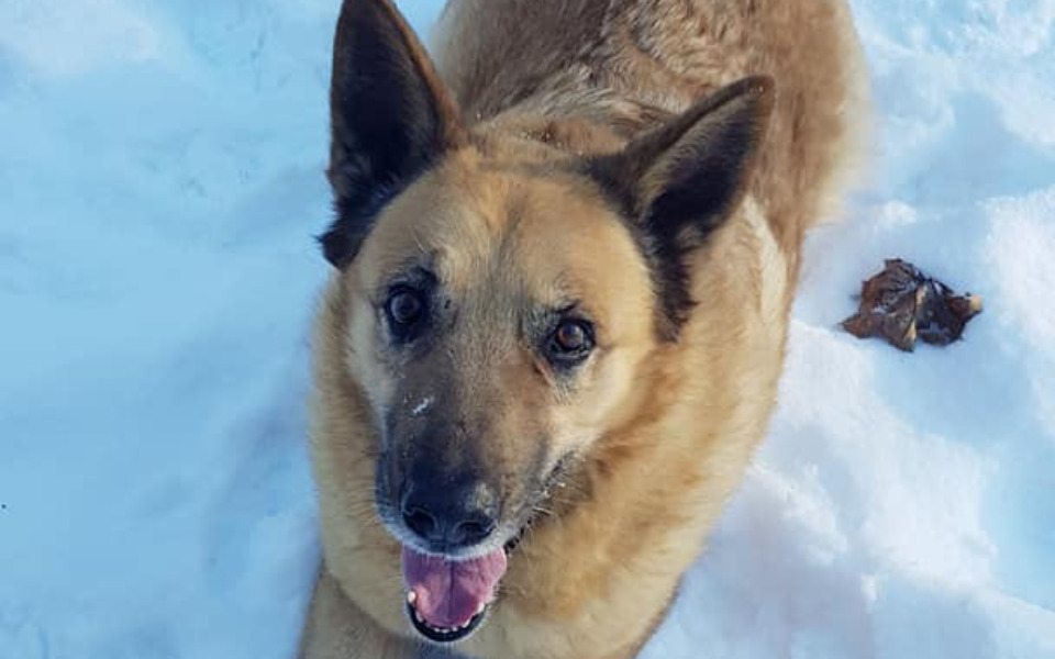 
        Zbiórka Cegiełka dla Bruna z Radys - zdjęcie główne
    