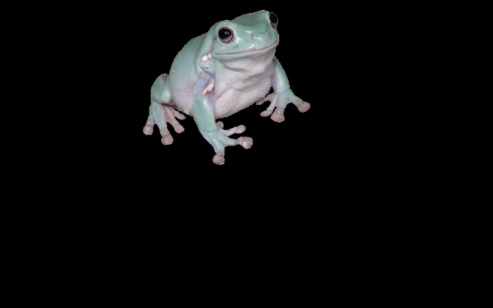 
        Zbiórka potrzebuje 33zl dajcie złotówkę - zdjęcie główne
    