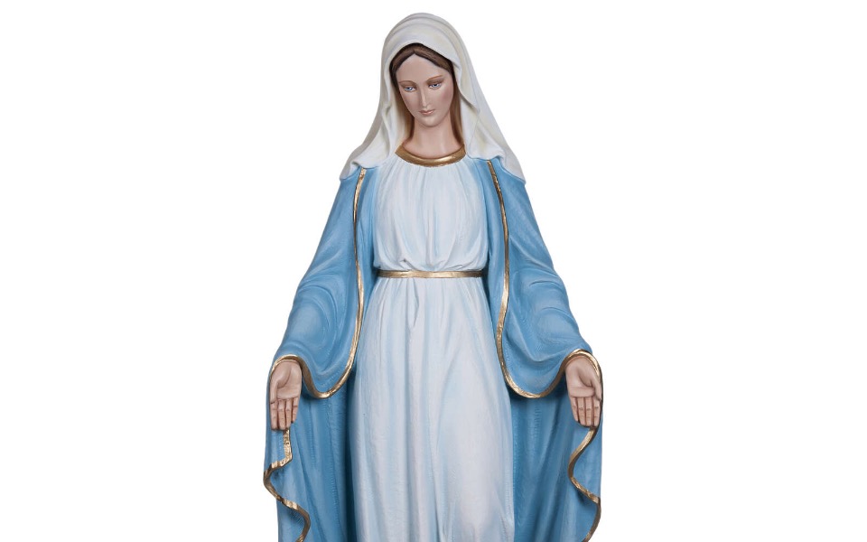 
        Zbiórka Niepokalana Matka Boża - zdjęcie główne
    