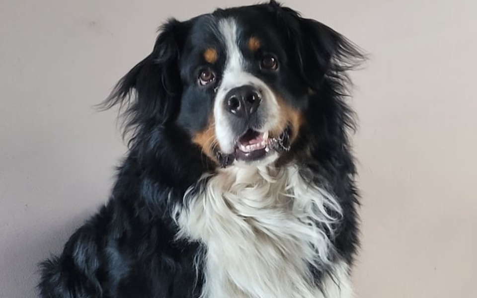 
        Zbiórka Benek walczy o sprawność - zdjęcie główne
    