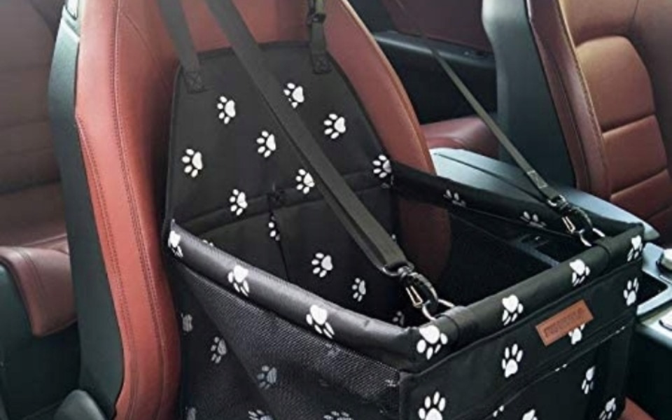 
        Zbiórka Transporter dla pieska - zdjęcie główne
    