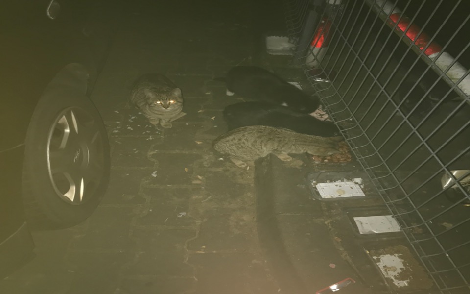 
        Drewniana trumna z koronką, elegancka i klasyczna.
    