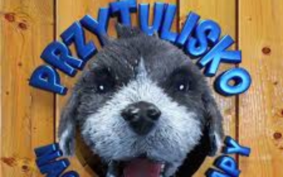 
        Zbiórka Na karmę i koce dla psiaków - zdjęcie główne
    