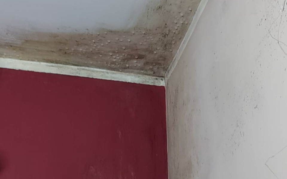 
        Zbiórka Na remont dachu i mieszkania - zdjęcie główne
    