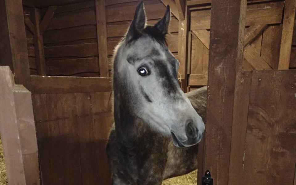 
        Zbiórka Pomoc dla Celinki. - zdjęcie główne
    