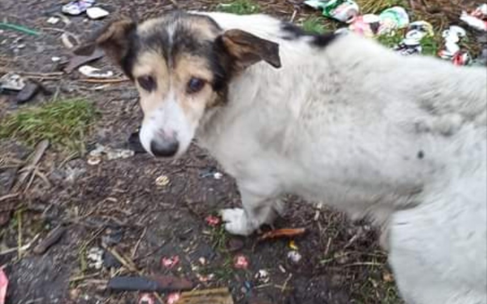 
        Zbiórka Na godną starość - zdjęcie główne
    